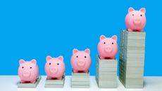 Pink piggy banks resting on stacks of money that get larger to the right, indicating growth, with a blue background.