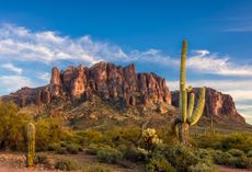 Rock formations in the distance behind cactuses, as seen from Apache Junction. 